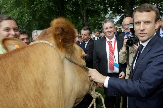 Le président Emmanuel Macron lors d'une visite dans un collège agricole à Verneuil-sur-Vienne (Nouvelle-Aquitaine), le 9 juin 2017