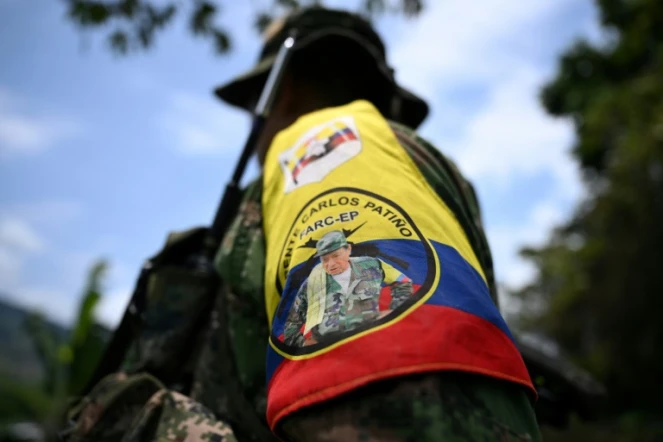 Un membre du Front Carlos Patino, faction de la dissidence des Farc, près de champs de coca dans le canyon del Micay, dans le département du Cauca, le 24 mars 2024 en Colombie 