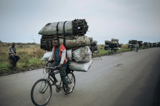 Des cyclistes transportent des sacs de charbon de bois pour les vendre à Goma, le 28 septembre 2019 en RDC