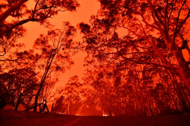 Le ciel de l'après-midi rouge à cause des feux de brousse dans la zone autour de la ville de Nowra dans l'état australien de la Nouvelle-Galles du Sud, le 31 décembre 2019