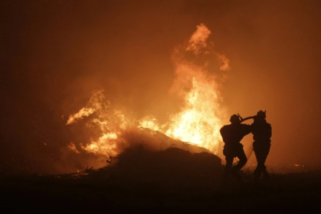 Des pompiers afrontent un incendie en Corse, vendredi 11 août 2017.