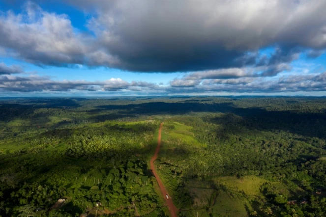 Vue aérienne de la route transamazonienne près de Medicilandia, le 13 mars 2019 au Brésil