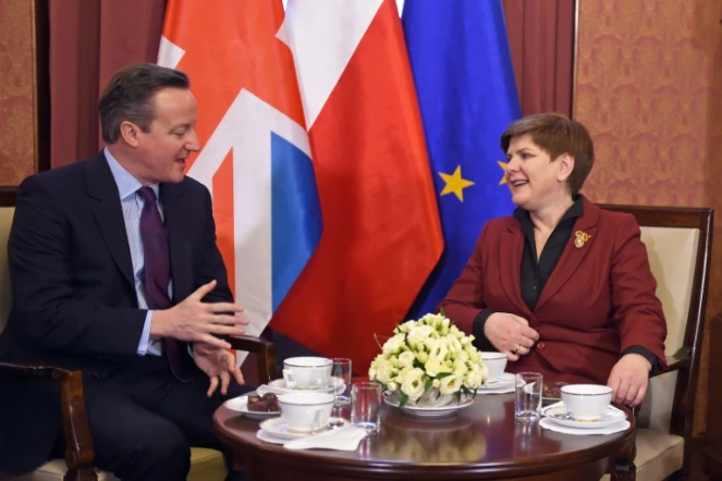 Le Premier ministre britannique David Cameron et son homologue polonaise Beata Szydlo, le 5 février 2016 à Varsovie