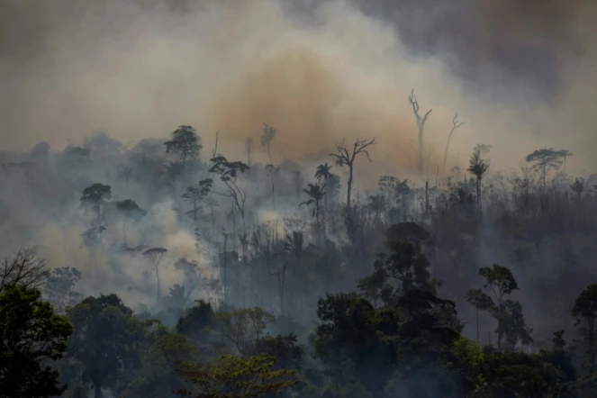 Feu de forêt à Altamira, dans l'Etat de Paris, en août 2019 au Brésil
