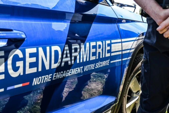 Une mère de famille qui a tué ses deux jeunes enfants, âgés de 9 mois et de deux ans et demi, a été arrêtée et placée en garde à vue mardi soir à Drouville, près de Nancy
