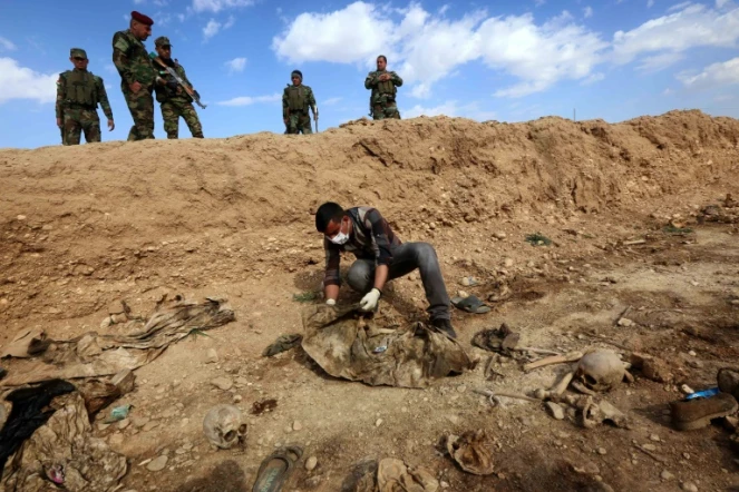 Un Iraquien inspecte les restes des corps de Yazidis tués par l'EI le 3 février 2015 au nord-ouest de l'Irak