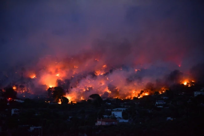 Un feu de forêt près d'Athènes, le 23 juillet 2018