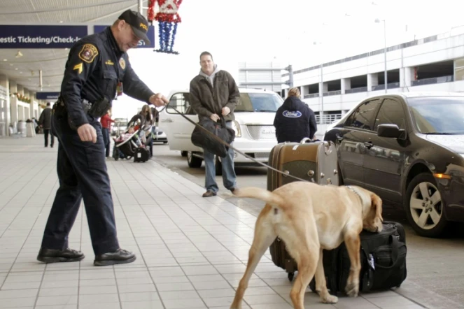 Un chien renifleur à l'aéroport de Detroit, le 26 décembre 2009