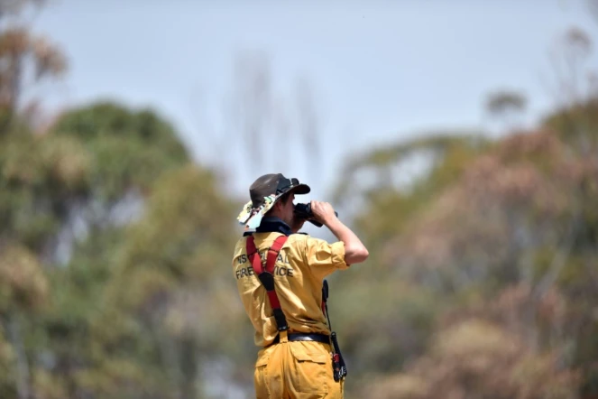 Un pompier surveille l'avancée des incendies dans la région de Penrose, en Nouvelles-Galles du Sud, en Australie, le 10 janvier 2020