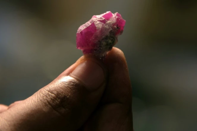 Un rubis extrait dans les montagne du Cachemire pakistanais présenté lors d'une vente aux enchères à Muzaffarabad, au Pakistan, le 13 septembre 2017