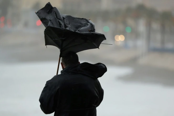 
Trois départements de l'Est et du Nord de la France étaient toujours placés jeudi matin en vigilance orange vent violent et inondation
