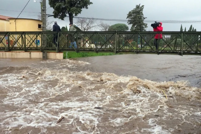 La rivière Massane est sorti de son lit, sous l'effet de la tempête Gloria, le 22 janvier 2020 à Argelès-sur-Mer