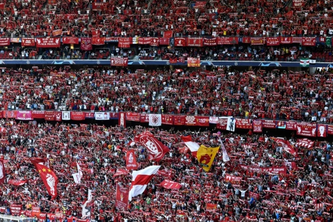 Les supporteurs de Liverpool lors de la finale de la Ligue des champions contre Tottenham, le 1er juin 2019 à Madrid 