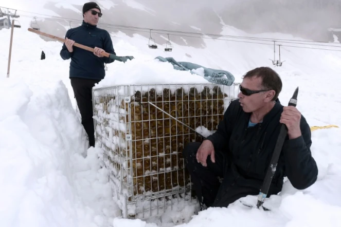 Un lot de bouteilles du Chateau de Lugey dégagées de la neige par Franck Labeyrie, à Cauterets dans les Pyrénées, le 7 juin 2018