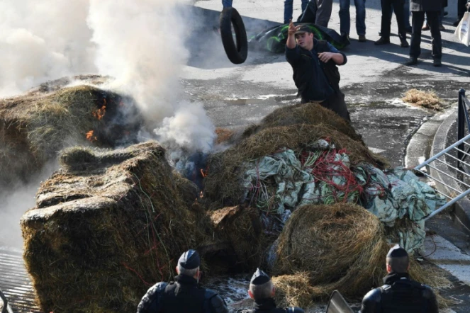 Des agriculteurs brûlent de la paille et des pneus lors d'une manifestation à Bordeaux, le 21 février 2018, contre un projet d'accord avec le Mercosur