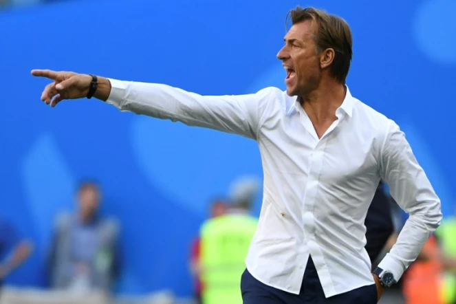 Le sélectionneur du Maroc Hervé Renard lors d'un match contre l'Iran au Mondial, le 15 juin 2018 à Saint-Pétersbourg 