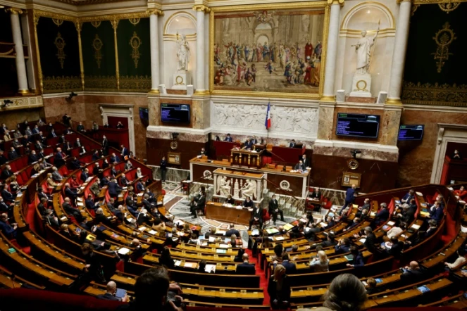 Vue générale de l'Assemblée nationale le 9 février 2021