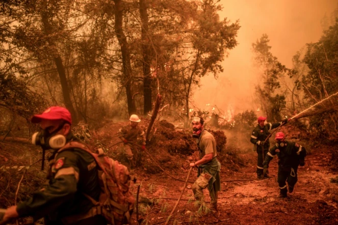 Pompiers et volontaires luttent contre les flammes à Glatsona, sur l'île d'Eubée, en Grèce, le 9 août 2021
