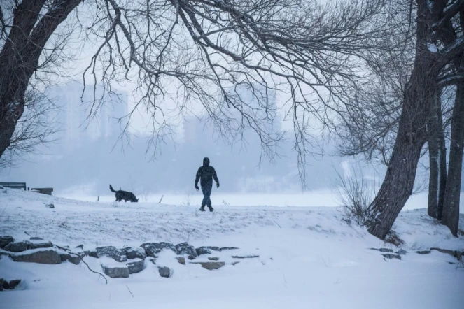 Un homme promenant son chien à Kingston, au Canada, le 30 janvier 2019. PHOTO D'ILLUSTRATION