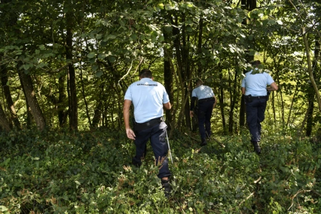 Des gendarmes conduisant des fouilles dans la forêt près du Pont-Beauvoisin, dans l'Isère, le 29 août 2017