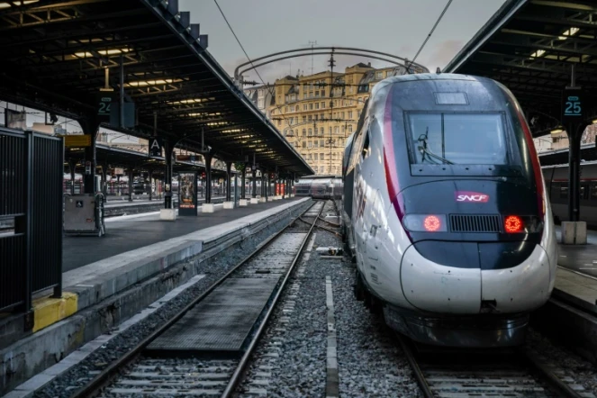 Un TGV à quai à la gare de l'Est à Paris, lors de la grève contre la réforme des retraites, le 13 décembre 2019