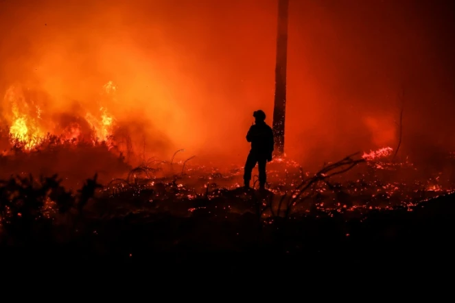 Un pompier debout devant des arbres en flammes près de Belin-Béliet (sud-ouest), le 11 août 2022 