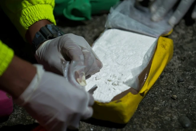 La production de cocaïne a augmenté de 5,9% en 2018 par rapport à 2017 en Colombie, principal pays producteur de cette drogue, selon l'ONU