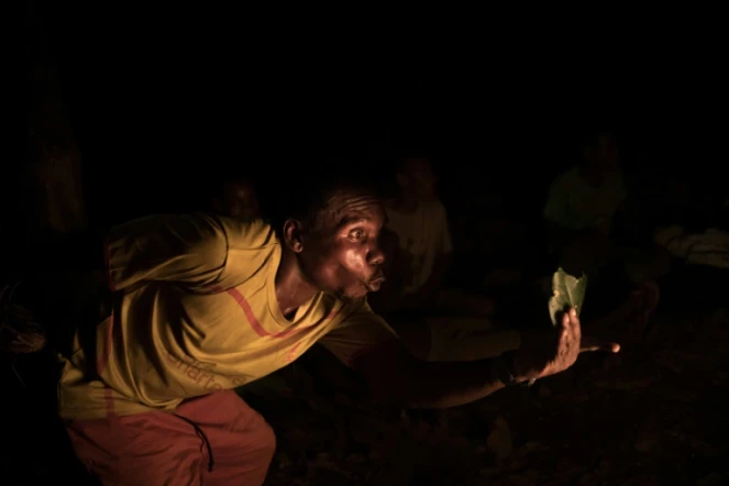 Un guérisseur traditionnel, appelé Ganga chez les pygmées, montre aux plus jeunes comment soigner, à Bayanga, en Afrique centrale, le 13 mars 2020
