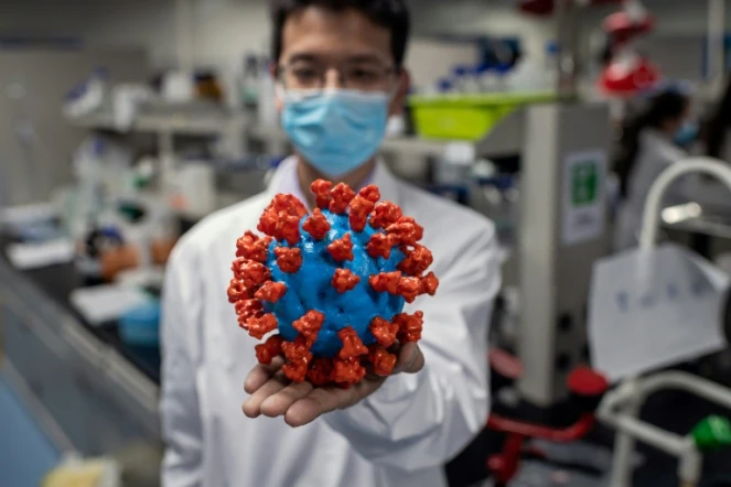 Un chercheur montre une maquette en plastique du nouveau coronavirus, au laboratoire contrôlant la qualité d'un vaccin expérimental de Sinovac Biotech, à Pékin le 29 avril 2020