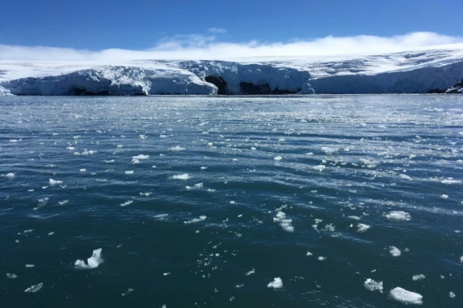 Des blocs de glace au large du glacier Collins, le 2 février 2018 sur l'île du Roi-George, en Antarctique
