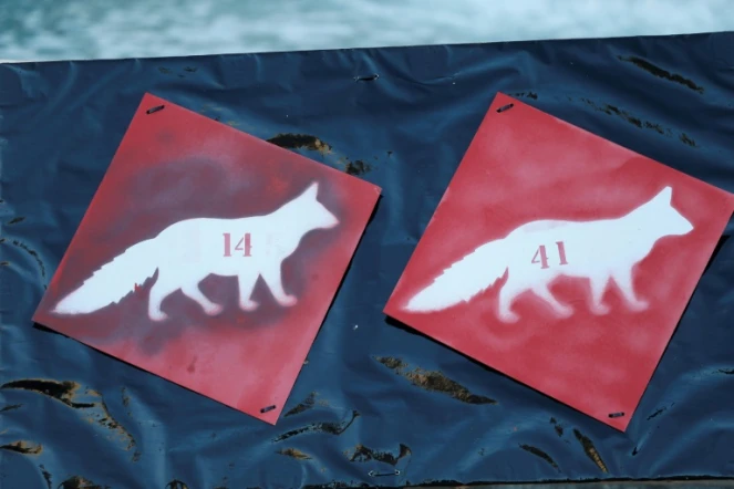 Le plan loup confirme un plafond d'abattage de 40 loups en 2018