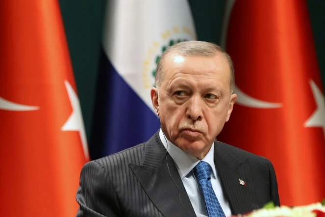 Le président turc Recep Tayyip Erdogan le 20 janvier au palais présidentiel à Ankara