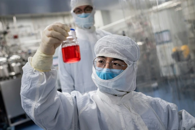 Un chercheur examine un flacon contenant des cellules d'un singe lors d'un test pour un vaccin expérimental contre le nouveau coronavirus dans un laboratoire de Sinovac Biotech, à Pékin le 29 avril 2020