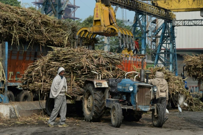 L'usine de sucre Triveni à Sabitgarh, dans l'État indien Uttar Pradesh, le 23 janvier 2019