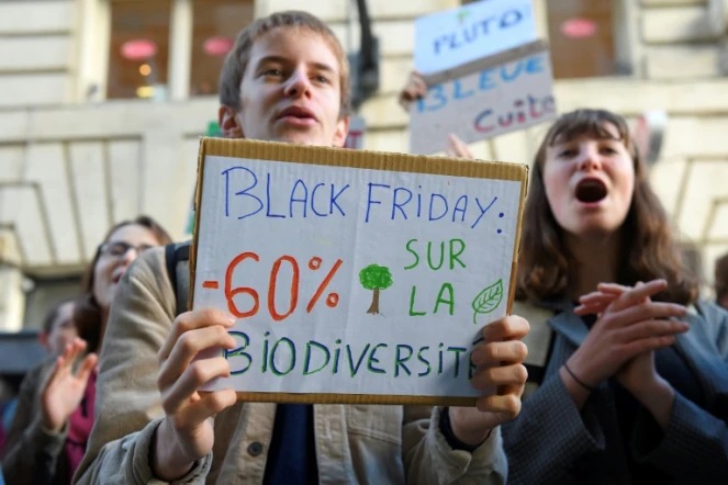 Black Friday: actions contre Amazon et la surconsommation