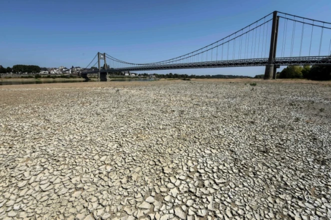Une partie du lit de la Loire asséché, à Ancenis, le 11 août 2020