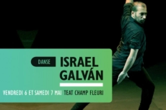 Israel Galvan, le maître du flamenco, se produira les 6 et 7 mai 2011 au théâtre de Champ Fleuri