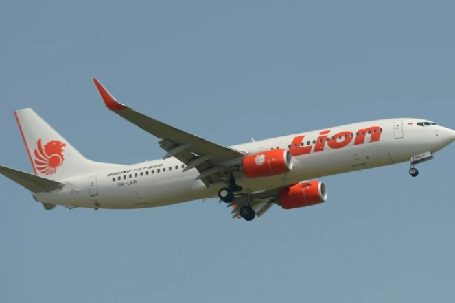 Photographie d'archive montrant un appareil de la compagnie Lion Air, au dessus de l'aéroport de Tangerang, près de Jakarta, le 18 mars 2013