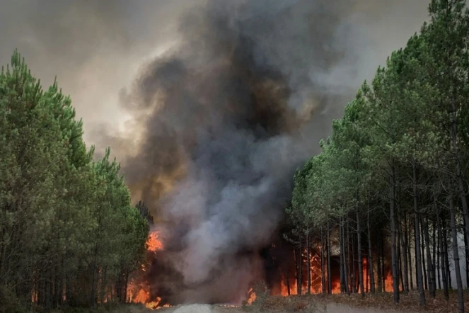 Photo diffusée par le Service départemental d'incendie et de secours (SDIS 33)) d'un incendie à Saint-Magne, le 9 août 2022 en Gironde