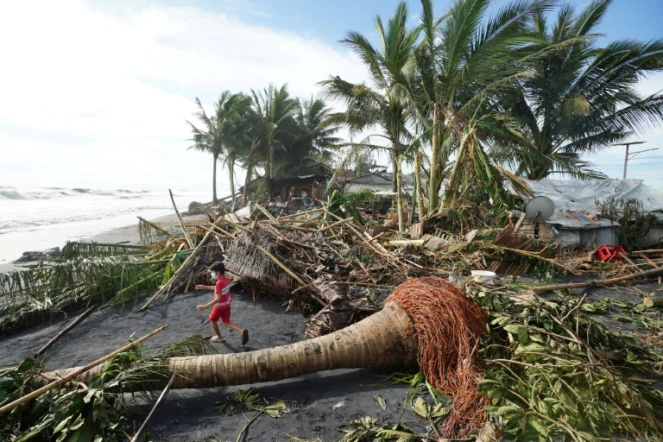 Des arbres arrachés par le typhon Rai à Dulag, aux Philippines, le 17 décembre 2021
