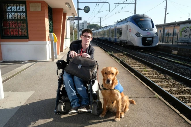 Kevin Fermine, 25 ans, atteint du "syndrome de Little" (dégénérescence des neurones) et en fauteuil roulant depuis son plus jeune âge, pose avec son chien Djembe le 16 mars 2017 à la gare Saint-Agne de Toulouse