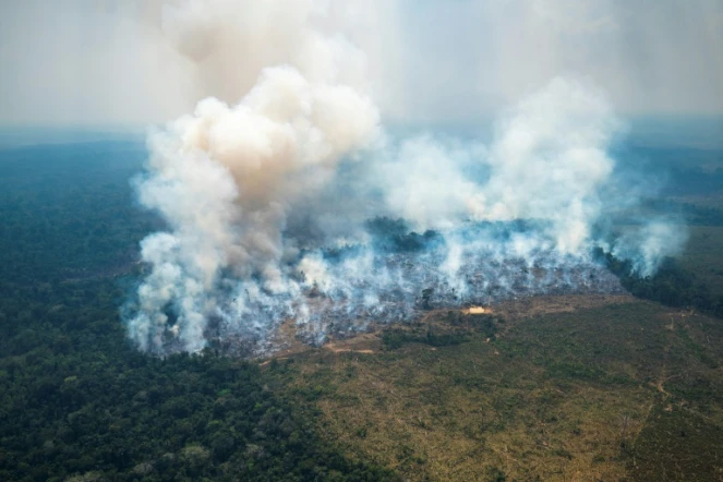Incendie dans le parc national de Chiribiquete, dans le nord-ouest de l'Amazonie colombienne, le 4 février 2022