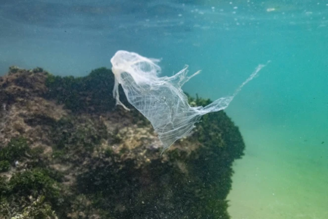 Un sac plastique flotte dans les eaux de l'océan Indien le 31 décembre 2021 près de Galle, au Sri Lanka 