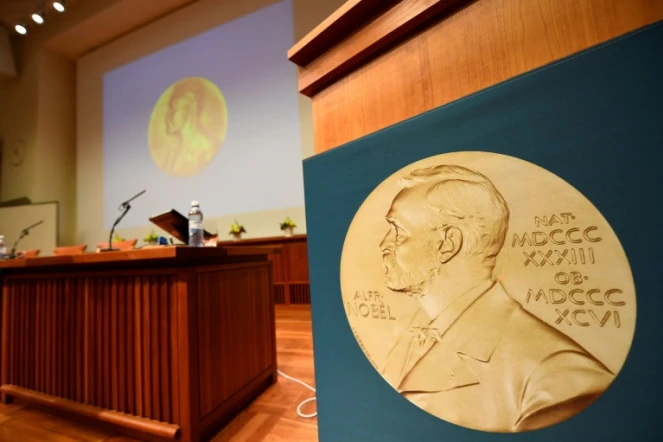 Une médaille sur 20 pour les femmes: les statistiques Nobel sont peu flatteuses pour celles qui représentent la moitié de l'humanité