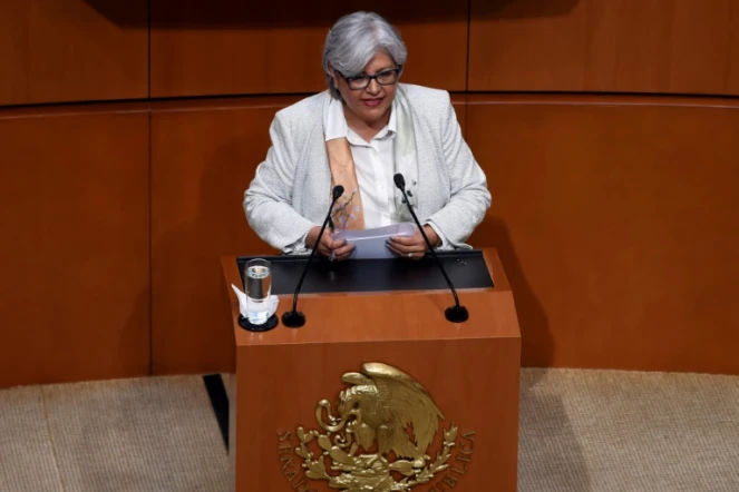 La secrétaire à l'Economie du Mexique Graciela Marquez Colin s'exprime devant le Sénat mexicain le 14 juin 2019 à Mexico City