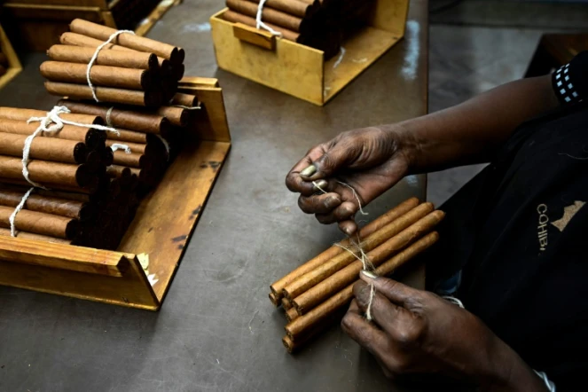 Une femme attache des paquets de cigares dans la fabrique qui produit les prestigieux cigares Cohiba, à La Havane, le 8 septembre 2022