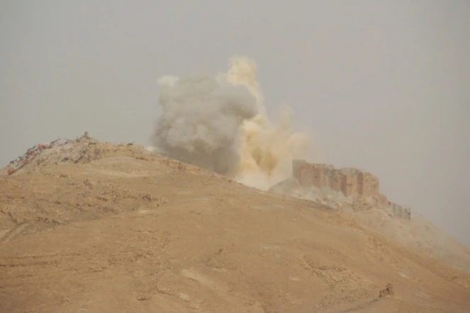De la fumée s'élève au-dessus de la citadelle de Palmyre, en Syrie, le 25 mars 2016