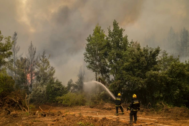Des pompiers venus de Serbie luttent contre un incendie près du village d'Avgaria sur l'île d'Eubée, le 10 août 2021 en Grèce 