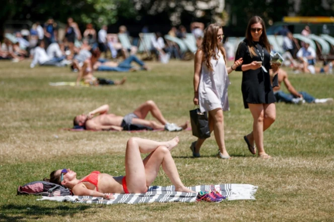 Les pelouses des parcs britanniques ont jauni sous l'effet des fortes chaleurs. Ici, des personnes se prélassent dans un parc de Londres le 25 juin 2018.