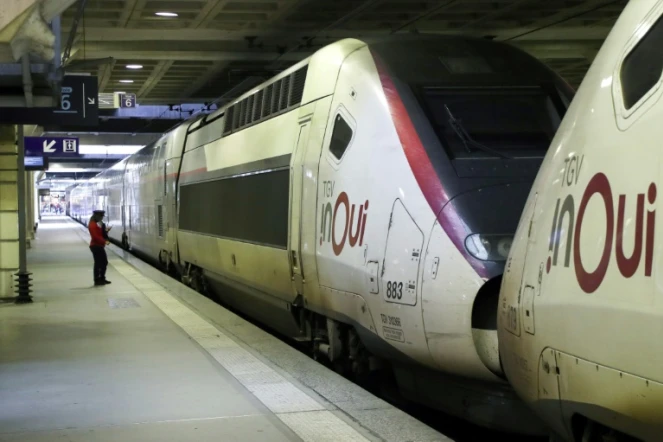 Des TGV à à la gare Montparnasse lors d'une grève à la SNCF, le 28 octobre 2019 à Paris